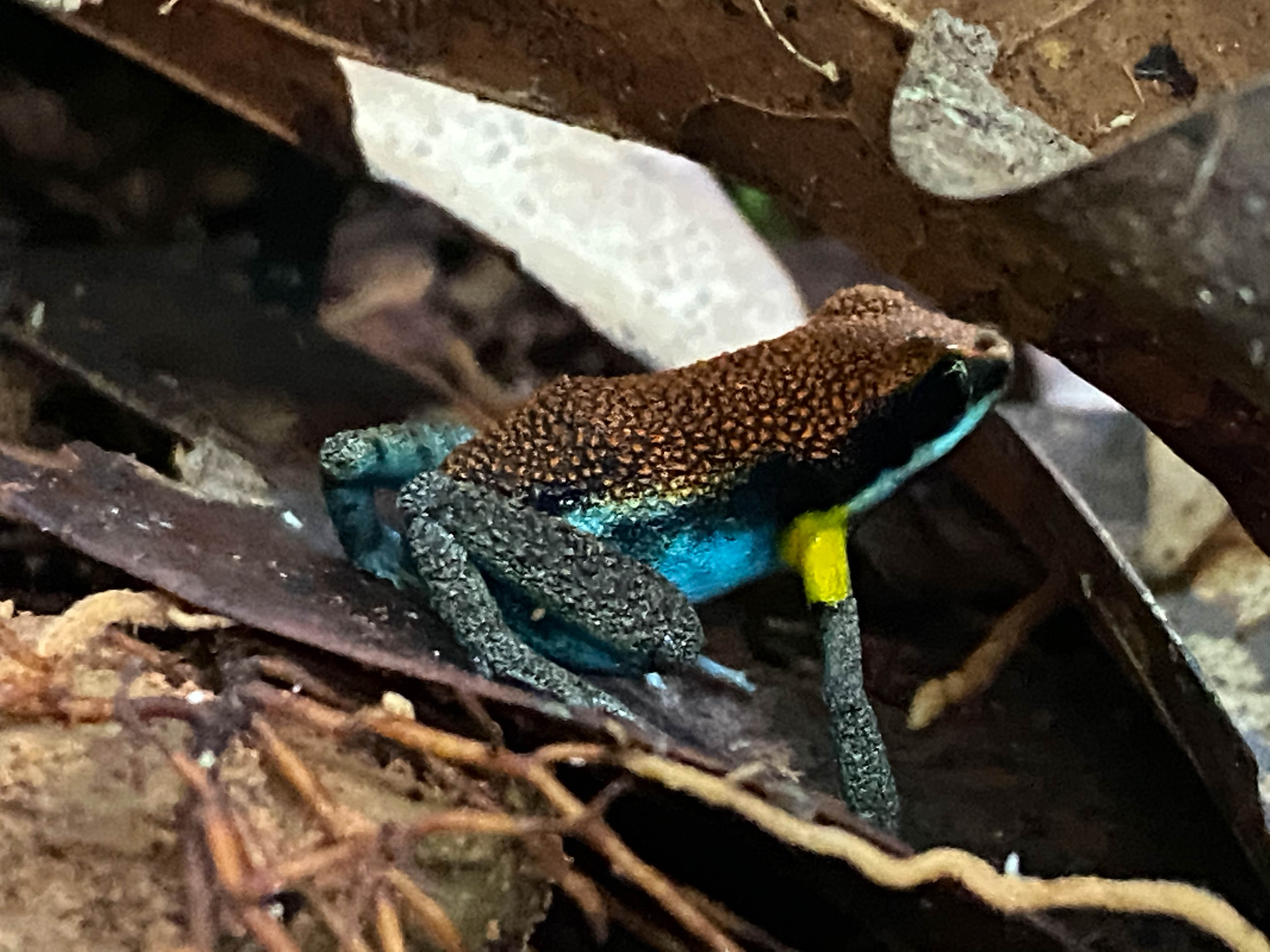 Ecuador deel 2-4.jpg