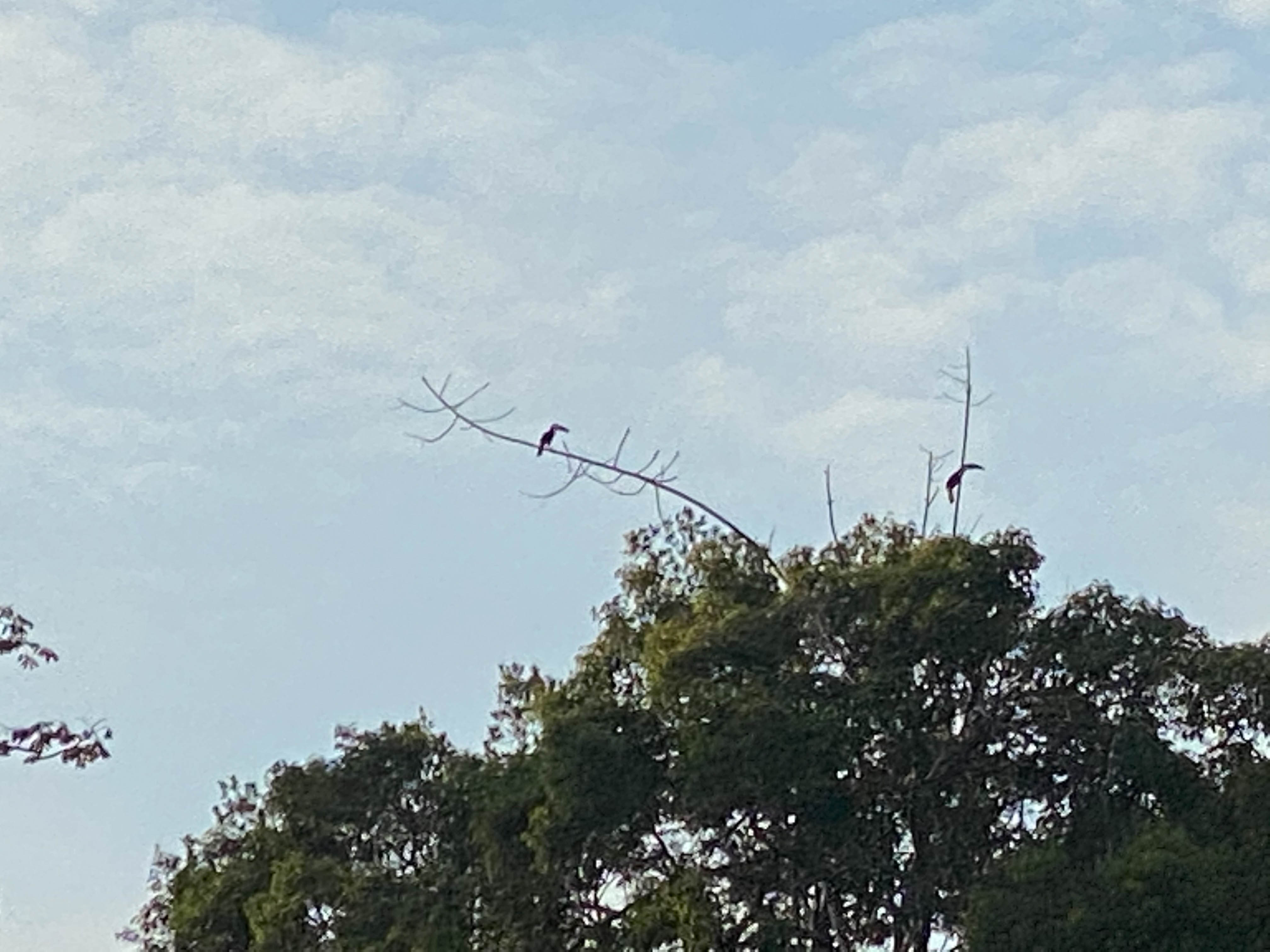 Ecuador deel 2-5.jpg