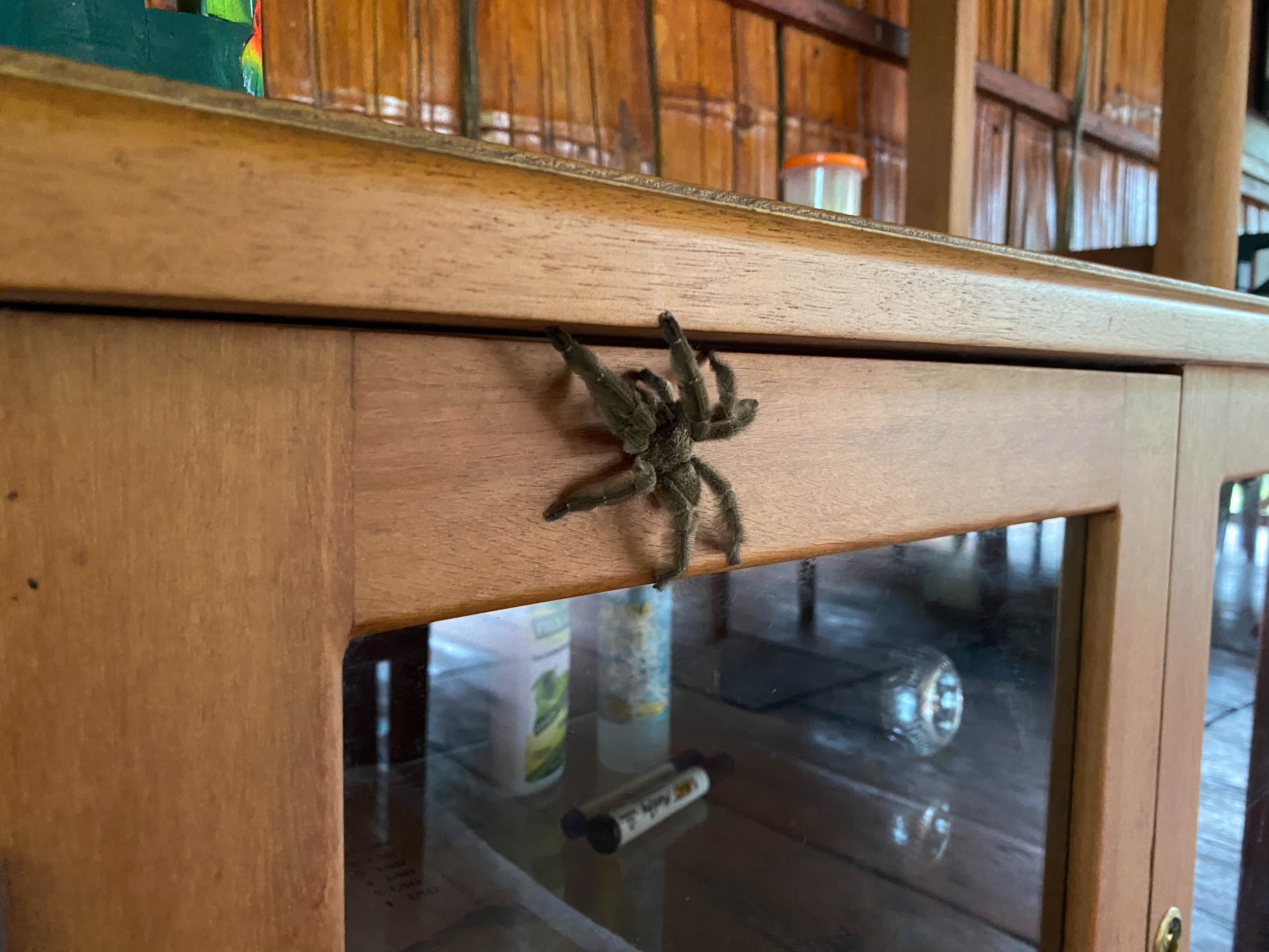 Ecuador deel 2-6.jpg