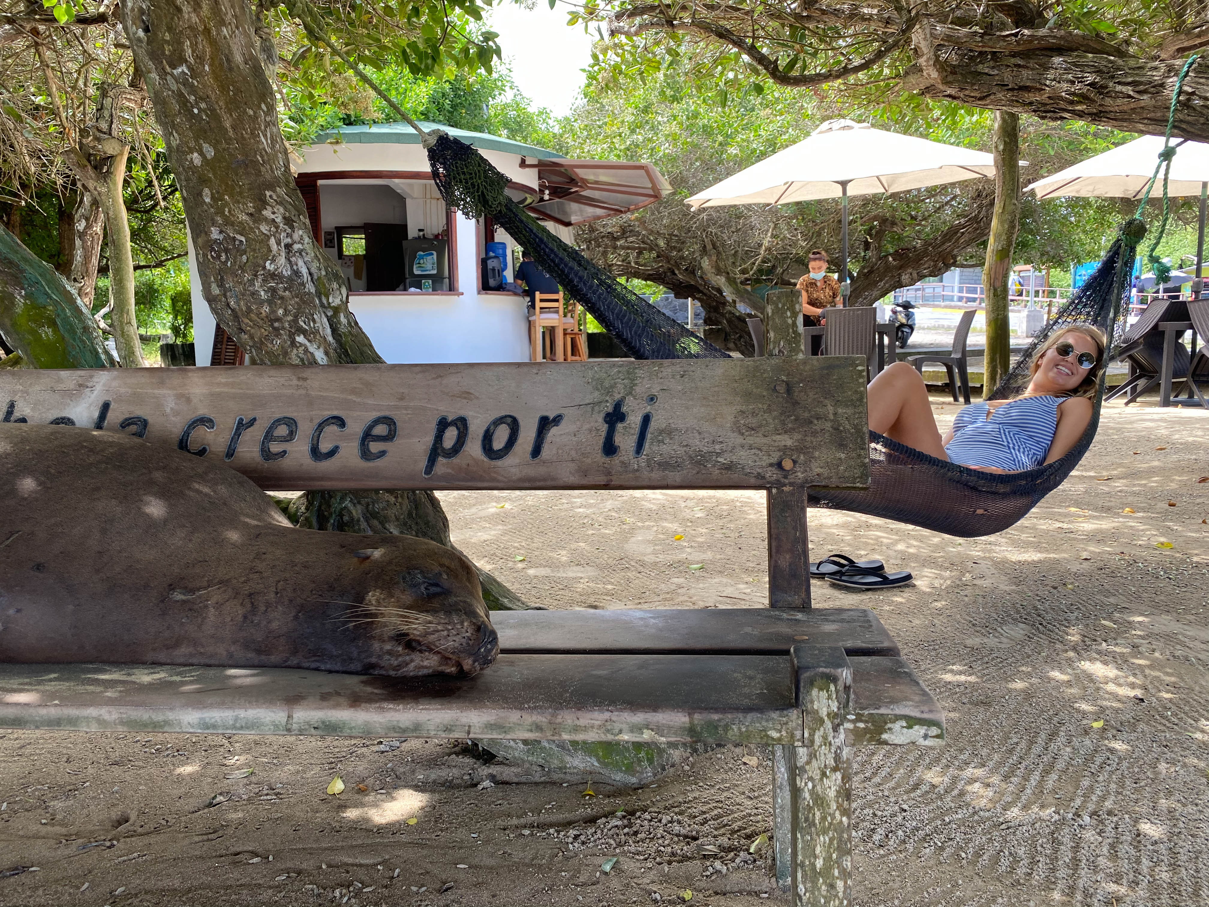 Ecuador deel 1-4.jpg