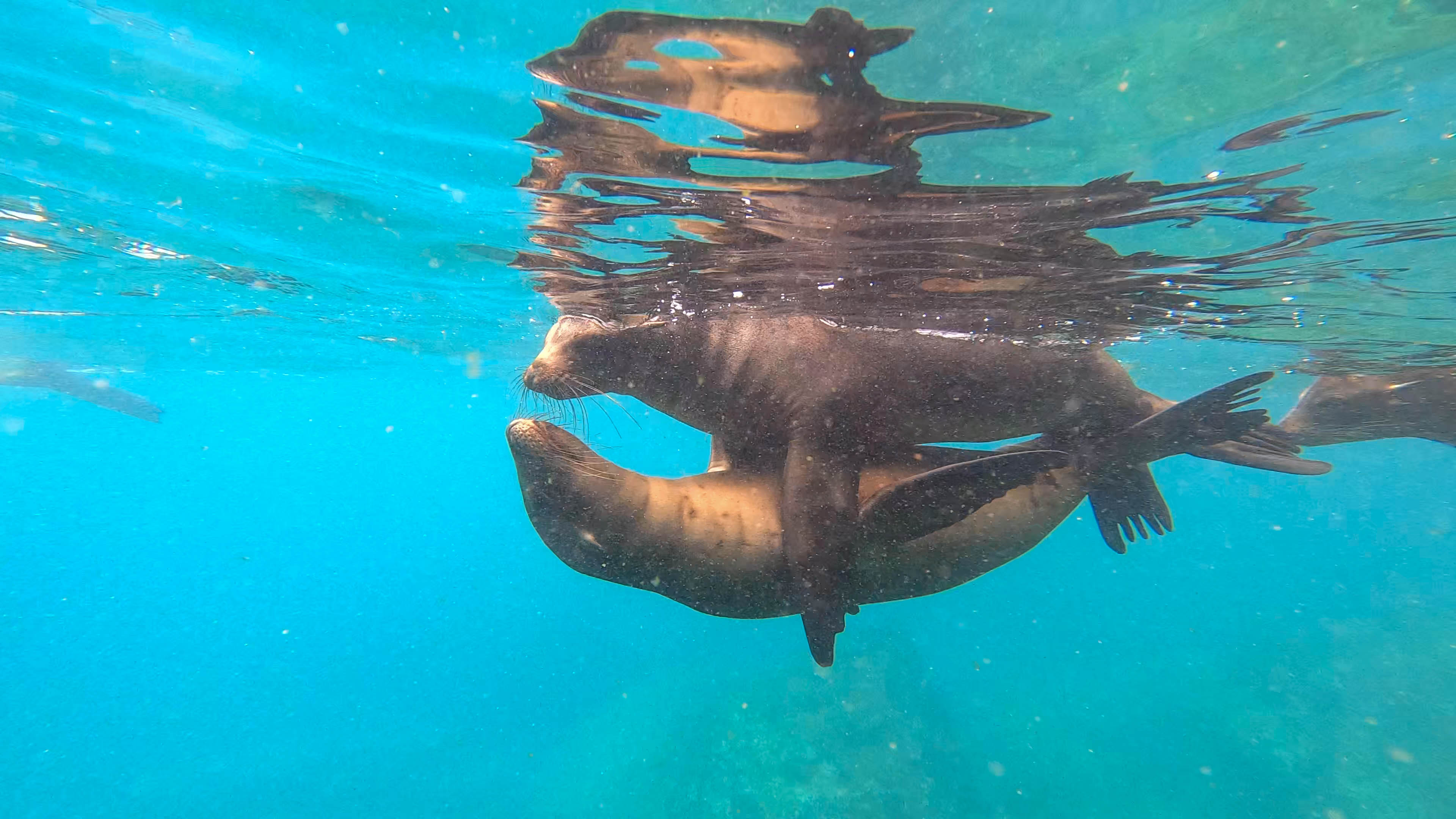 Ecuador deel 1-7.jpg