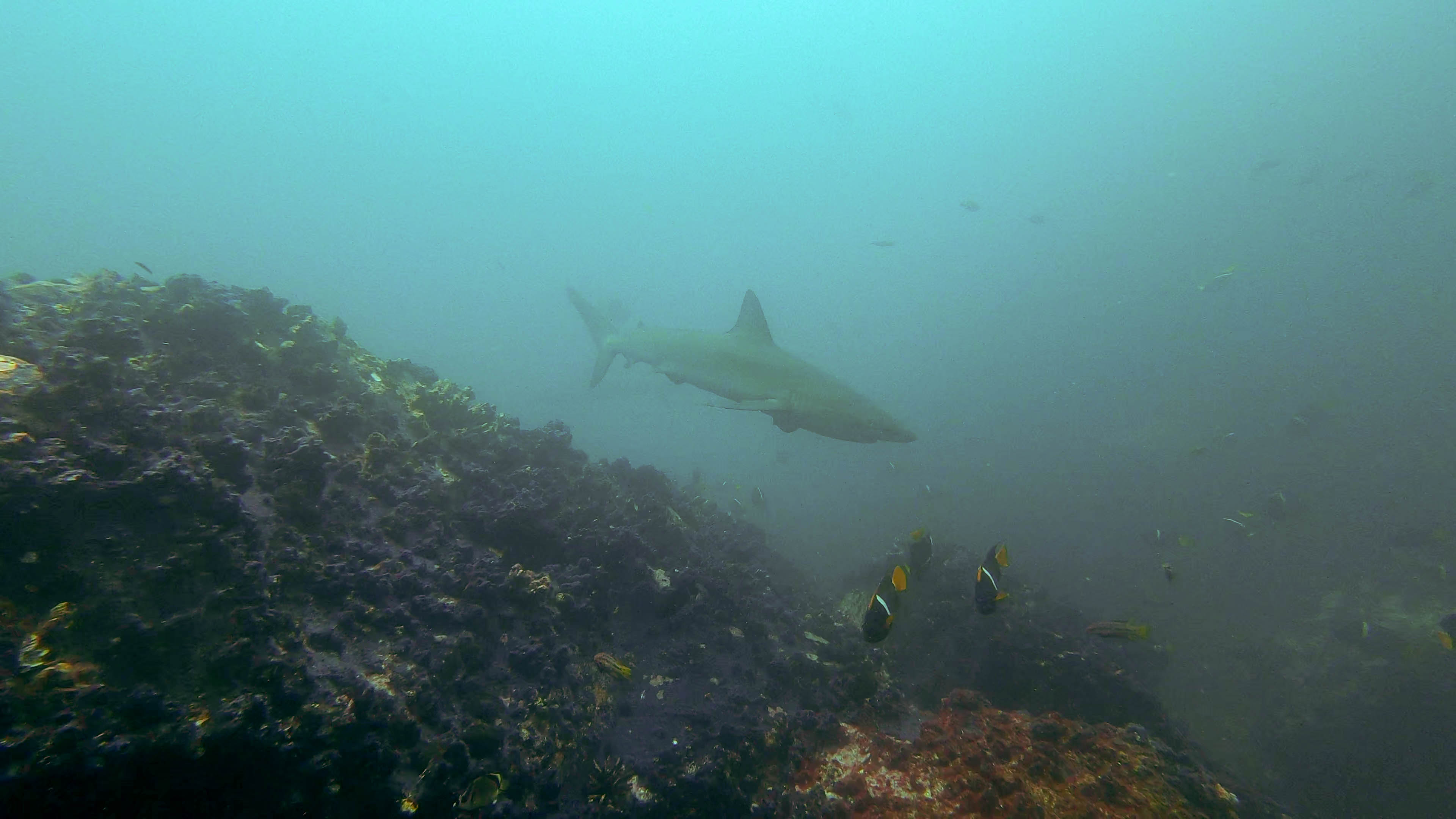 Ecuador deel 1-8.jpg